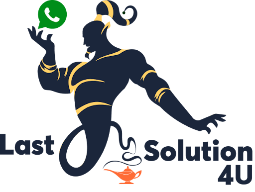 Last Solutions 4 U Logo